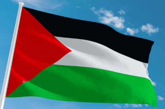 Et maintenant ? Poursuivre les combats pour que vive un État de Palestine
