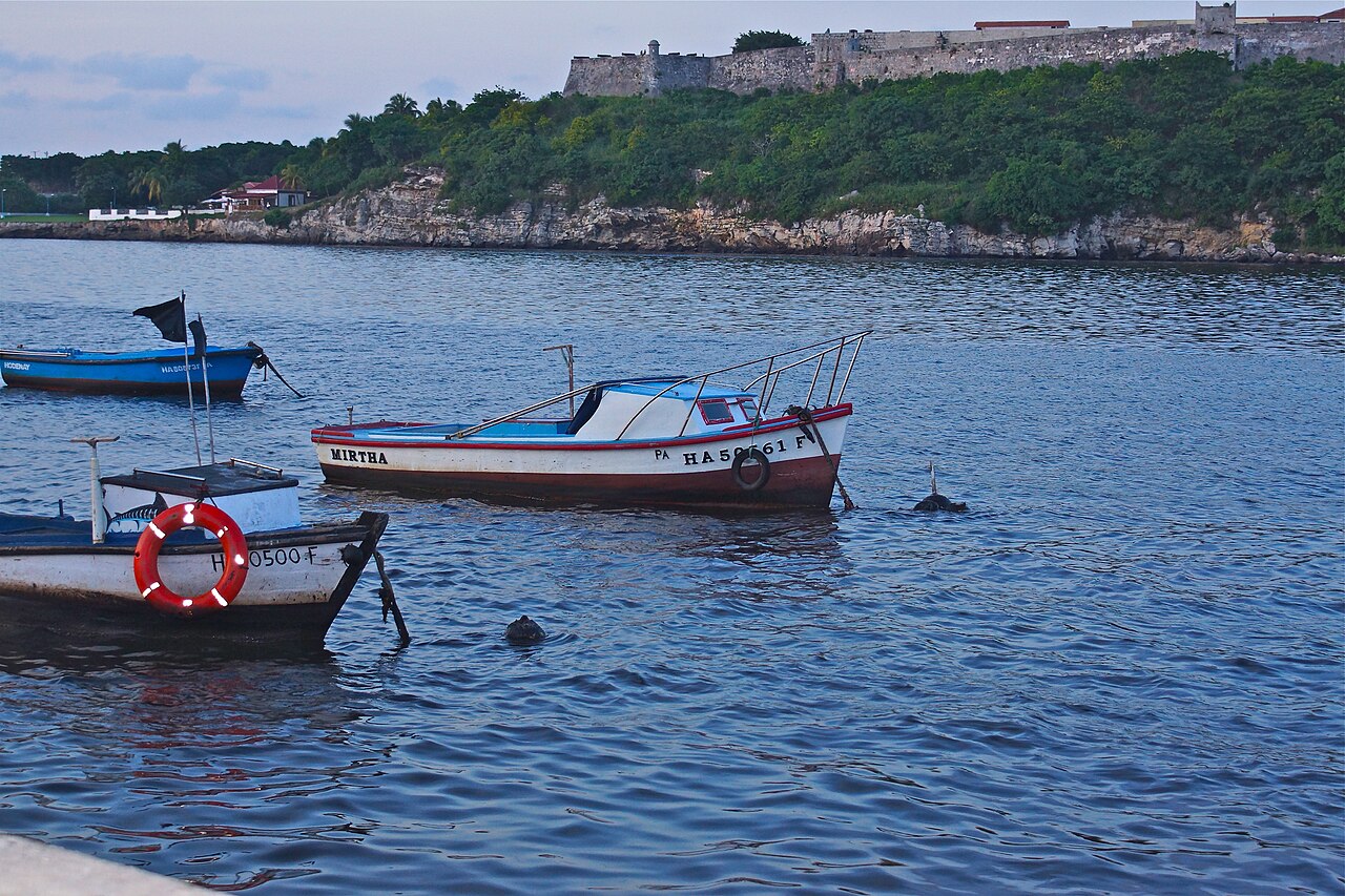 De Gaza à Cuba, vive les flottilles de la liberté !