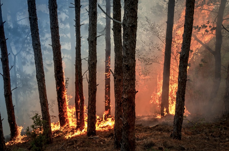Incendies en Gironde : l&rsquo;heure du réveil
